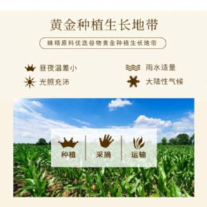 濟(jì)花味精2kg